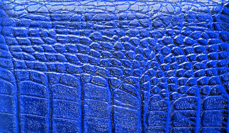 Blue crocodile leather textureの写真素材