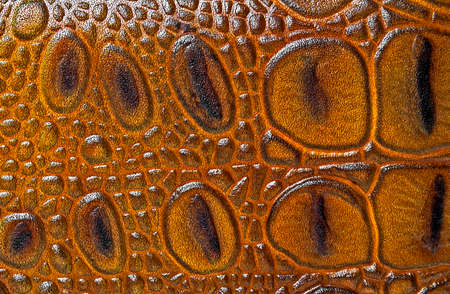 Crocodile leather texture backgroundの写真素材