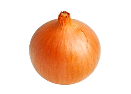Onion on a white backgroundの写真素材