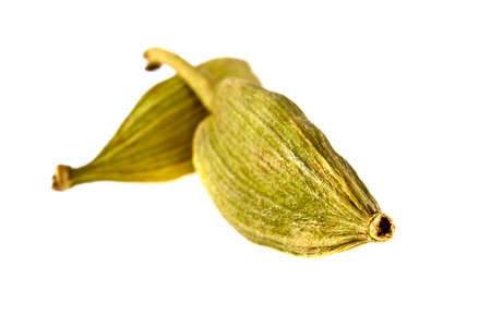 Close up of cardamon pods on white backgroundの写真素材