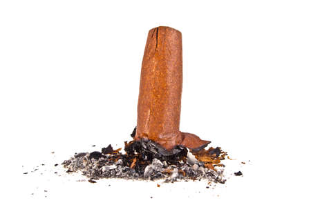 Cigar with ash isolated on a white backgroundの写真素材