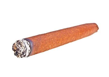 Brown cigar burned on white background