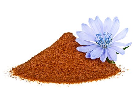 Blue chicory flower and powder of instant chicory isolated on a white background. Cichorium intybus.の写真素材
