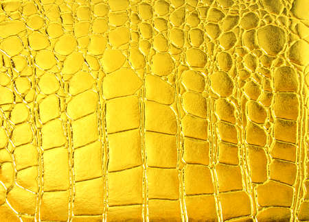 Crocodile golden leatherの写真素材
