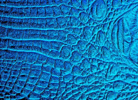 Crocodile leather texture backgroundの写真素材