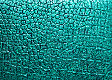 Crocodile leather, can use as backgroundの写真素材