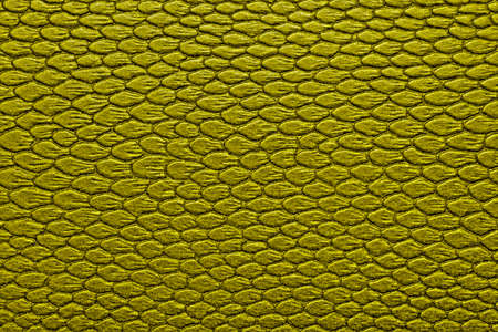 Snakeskin texture leather, can be used as a background