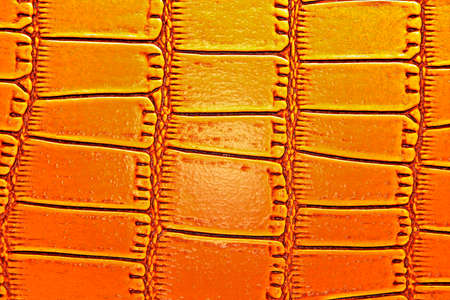 Crocodile leather texture backgroundの写真素材