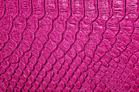 Snake skin, can use as backgroundの写真素材