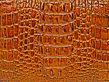 Crocodile leather texture background
