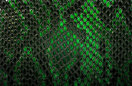 Snake skin background