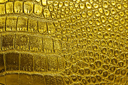 Golden alligator patterned backgroundの写真素材