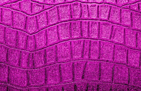 Crocodile leather texture backgroundの写真素材