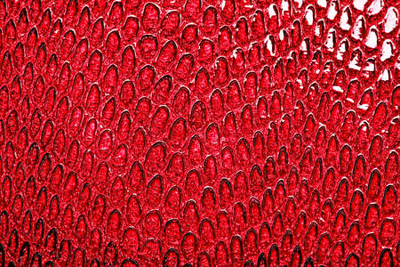 Snake skin background