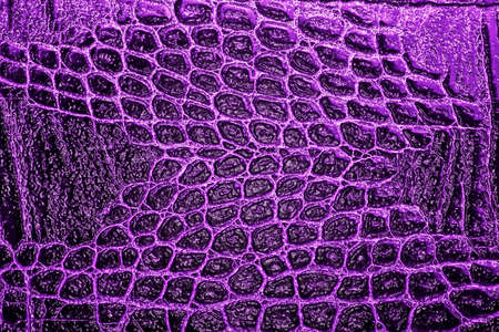 Crocodile leather texture backgroundの写真素材
