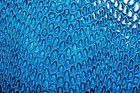 Snake skin background