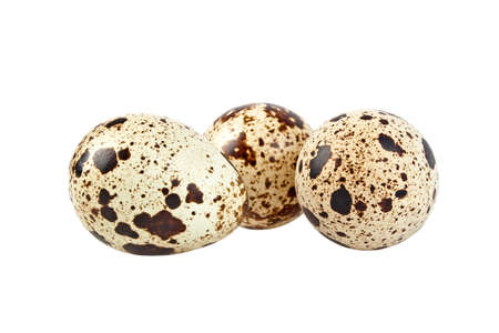 Quail eggs on a white backgroundの写真素材