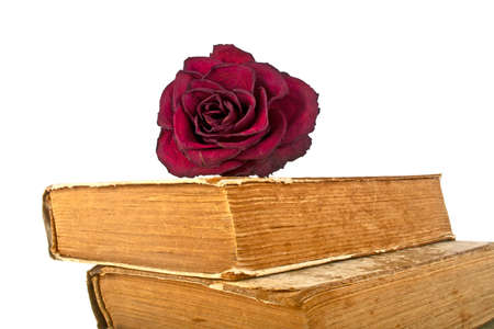 Old books and red faded rose on a white backgroundの写真素材