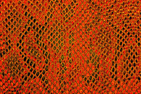 Red snake skin background
