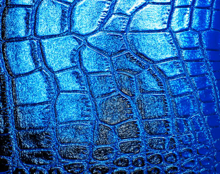 Crocodile leather texture backgroundの写真素材