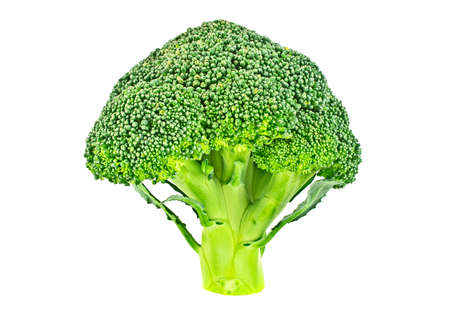 Fresh broccoli isolated on white backgroundの写真素材