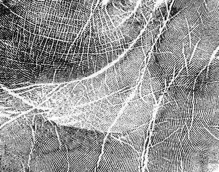 Handprint, as backgroundの写真素材