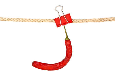 Red pepper on a rope isolated on white background, closeupの写真素材
