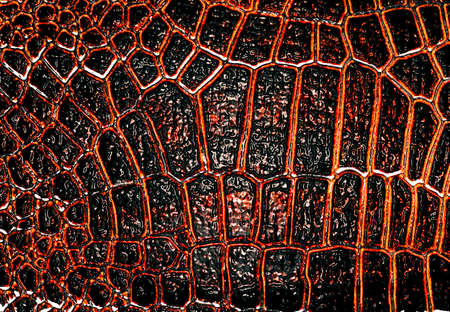 Dark alligator leather texture, can use as background
