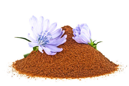 Blue chicory flower and powder of instant chicory isolated on a white background. Cichorium intybus.の写真素材