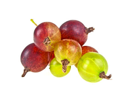 Fresh gooseberry isolated on white backgroundの写真素材