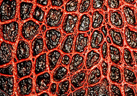 Red alligator patterned backgroundの写真素材
