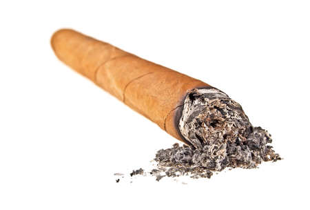 Brown cigar burned on white background