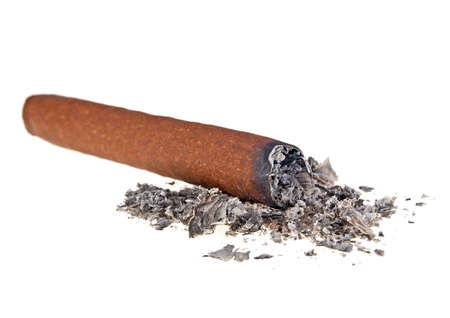 Brown cigar burned on white backgroundの写真素材