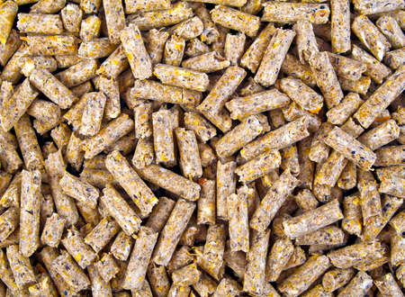 Animal feed
