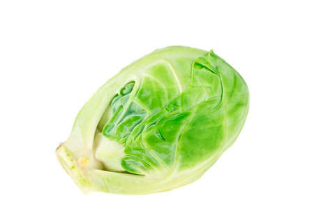 Closeup of a brussels sprout on a white backgroundの写真素材