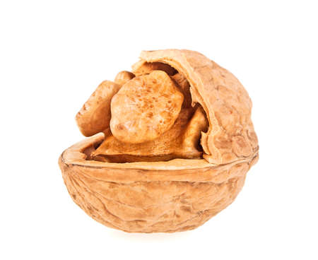 Walnut isolated on white background