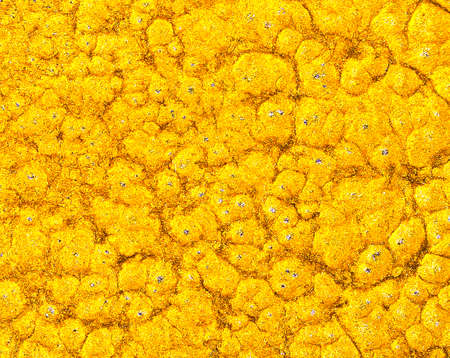 Festive abstract golden background. Christmas background.の写真素材