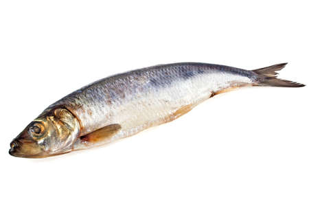 Salted herring fish isolated on white backgroundの写真素材