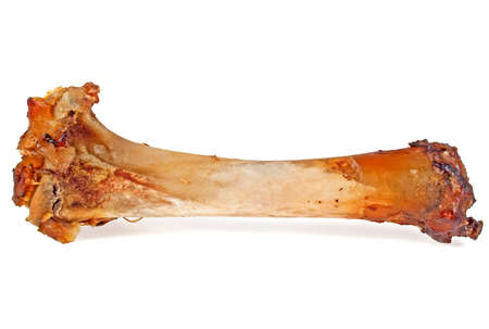 Pig bone isolated on a white background