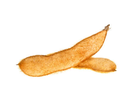 Soybean pods isolated on white background closeupの写真素材