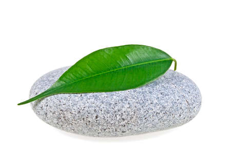 SPA stone with leaf isolated on white backgroundの写真素材