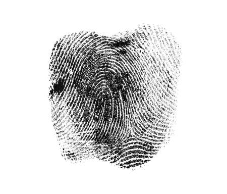 Black fingerprint on white backgroundの写真素材