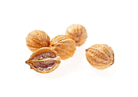 Seeds of coriander on a white background, whole and half. Selective focus.の写真素材