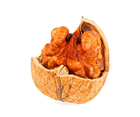 Dried walnut on a white background, close up