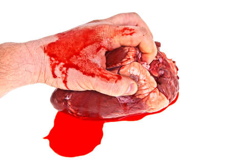 Raw beef heart in men's hand on a white backgroundの写真素材