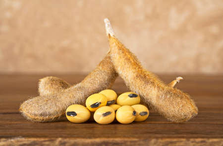 Soy pods on wooden backgroundの写真素材