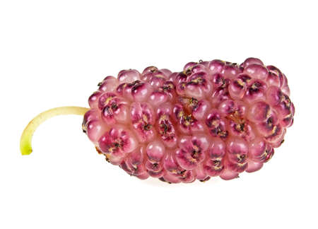 Mulberry fruit isolated on a white backgroundの写真素材