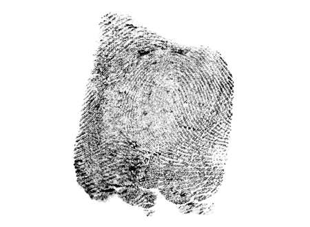 Black ink fingerprint isolated on white backgroundの写真素材