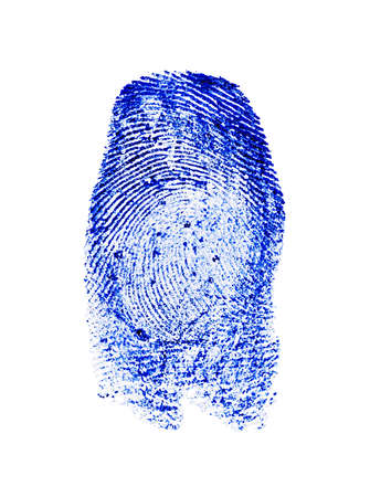 Blue fingerprint isolated on white background