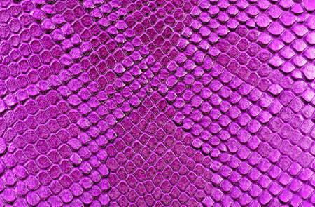 Close-up of snakeskin leatherの写真素材
